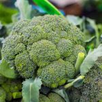 লাখ টাকার ব্রকোলি বিক্রির আশা সামসুল হকের