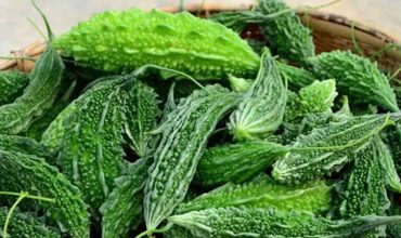 করলার ক্ষতিকর পোকা দমন পদ্ধতি