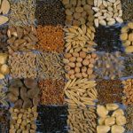 বীজ সংরক্ষণের লোকজ পদ্ধতি