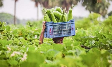 নিরাপদ খাদ্য ও পুষ্টি নিরাপত্তা