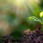 খাদ্য উৎপাদন-মজুত-বিপণনে অনিয়মে হবে সর্বোচ্চ ৫ বছরের জেল