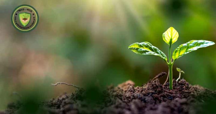 খাদ্য উৎপাদন-মজুত-বিপণনে অনিয়মে হবে সর্বোচ্চ ৫ বছরের জেল